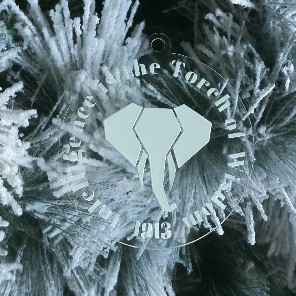 Intelligence is the Torch of Wisdom Ornament