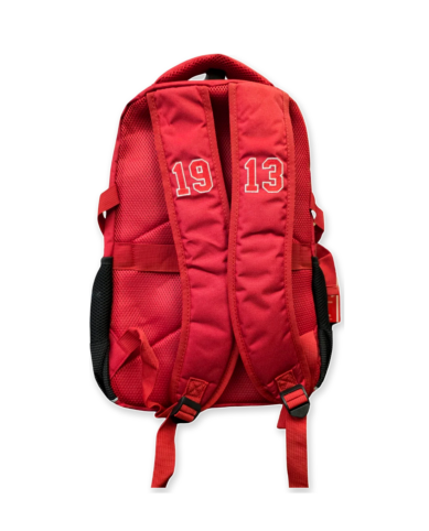 Delta Sigma Theta Backpack
