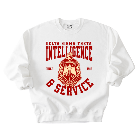 Delta Intelligence and Service Crewneck Sweater