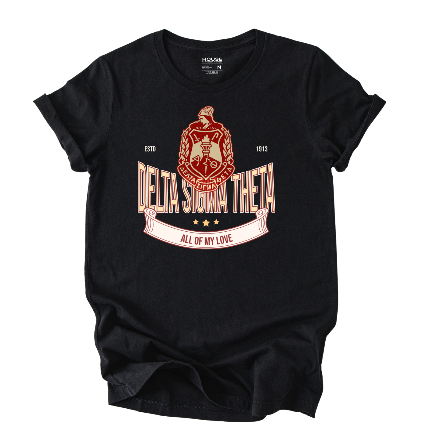 Delta Sigma Theta University Graphic Tee