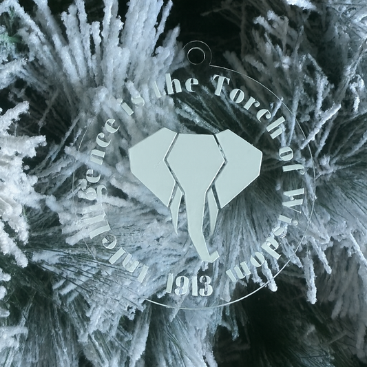 Intelligence is the Torch of Wisdom Ornament