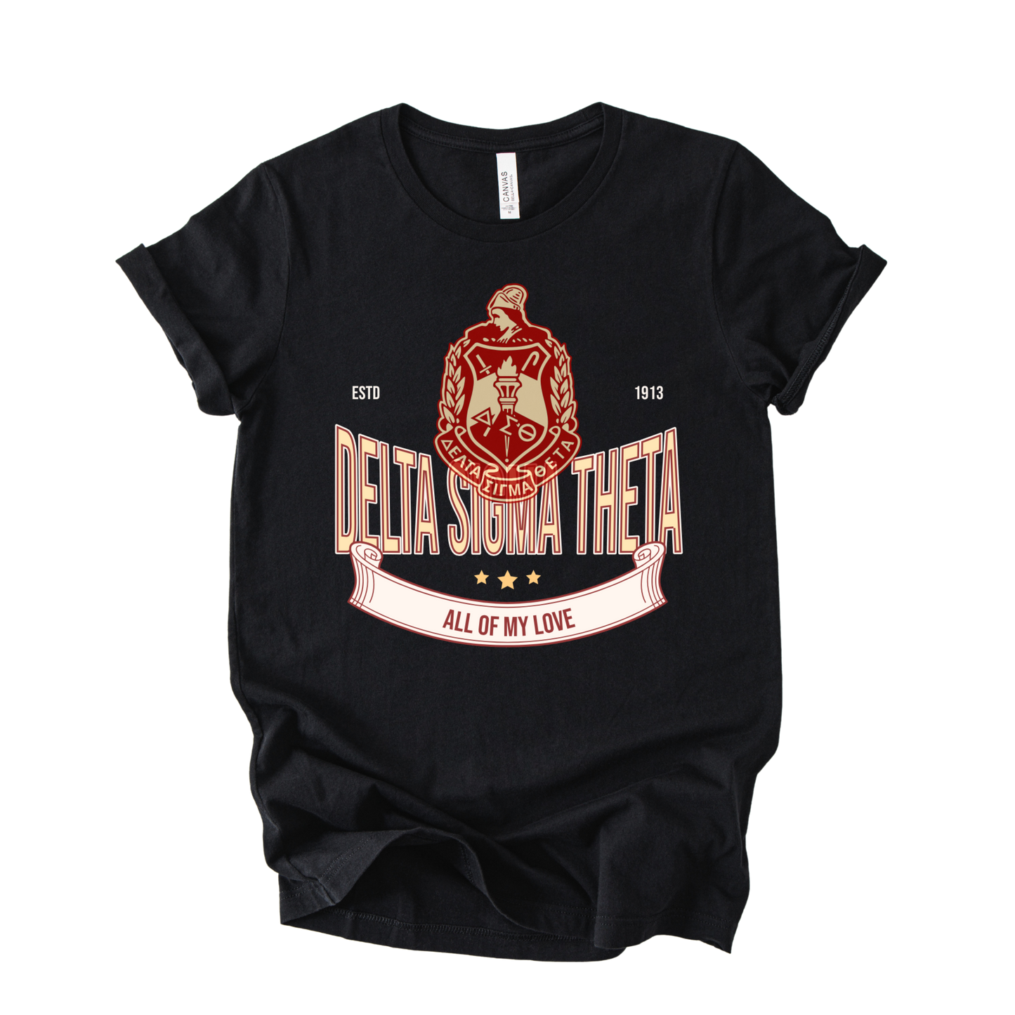 Delta Sigma Theta University Graphic Tee