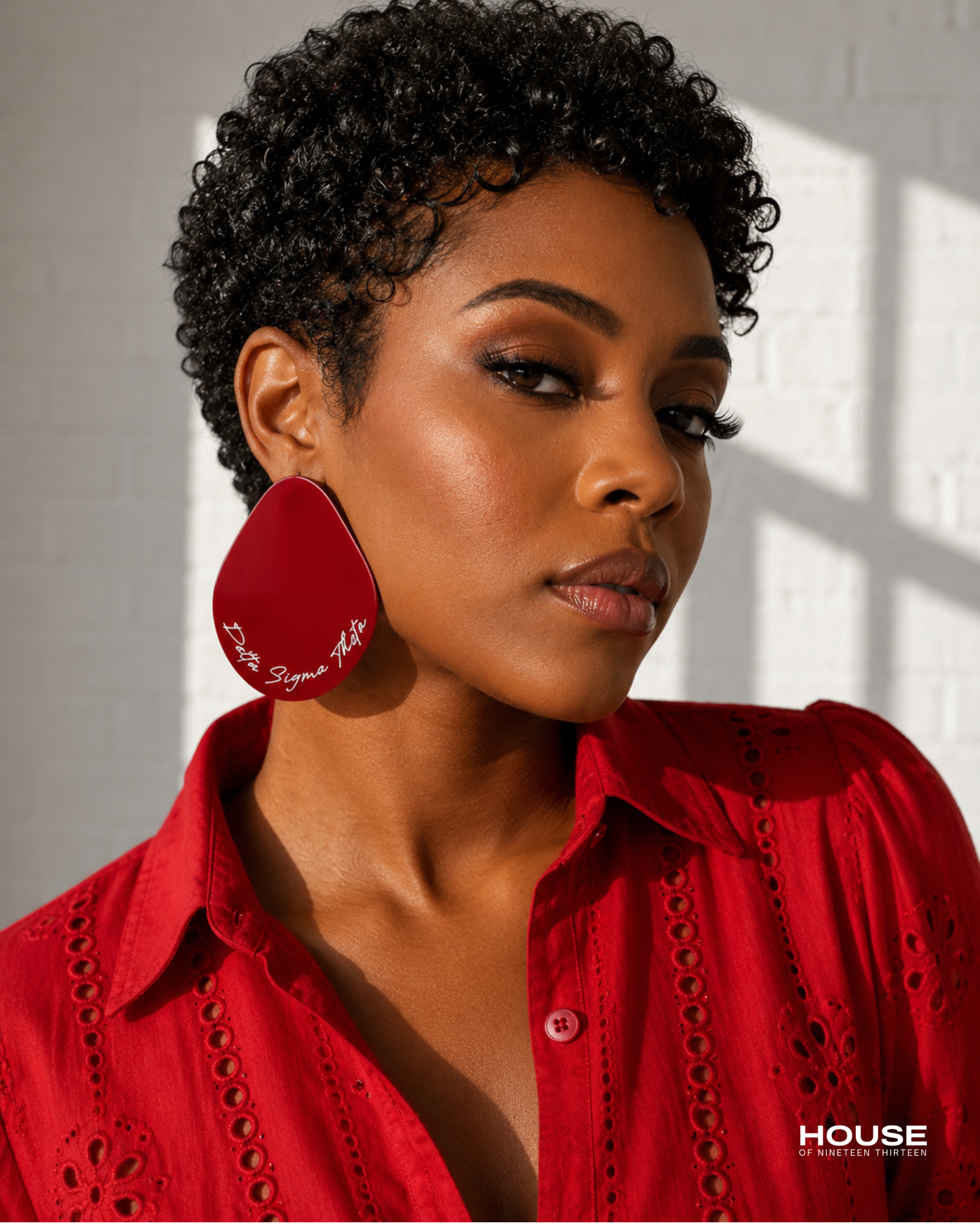 Asymmetric Delta Sigma Theta Stud Earring