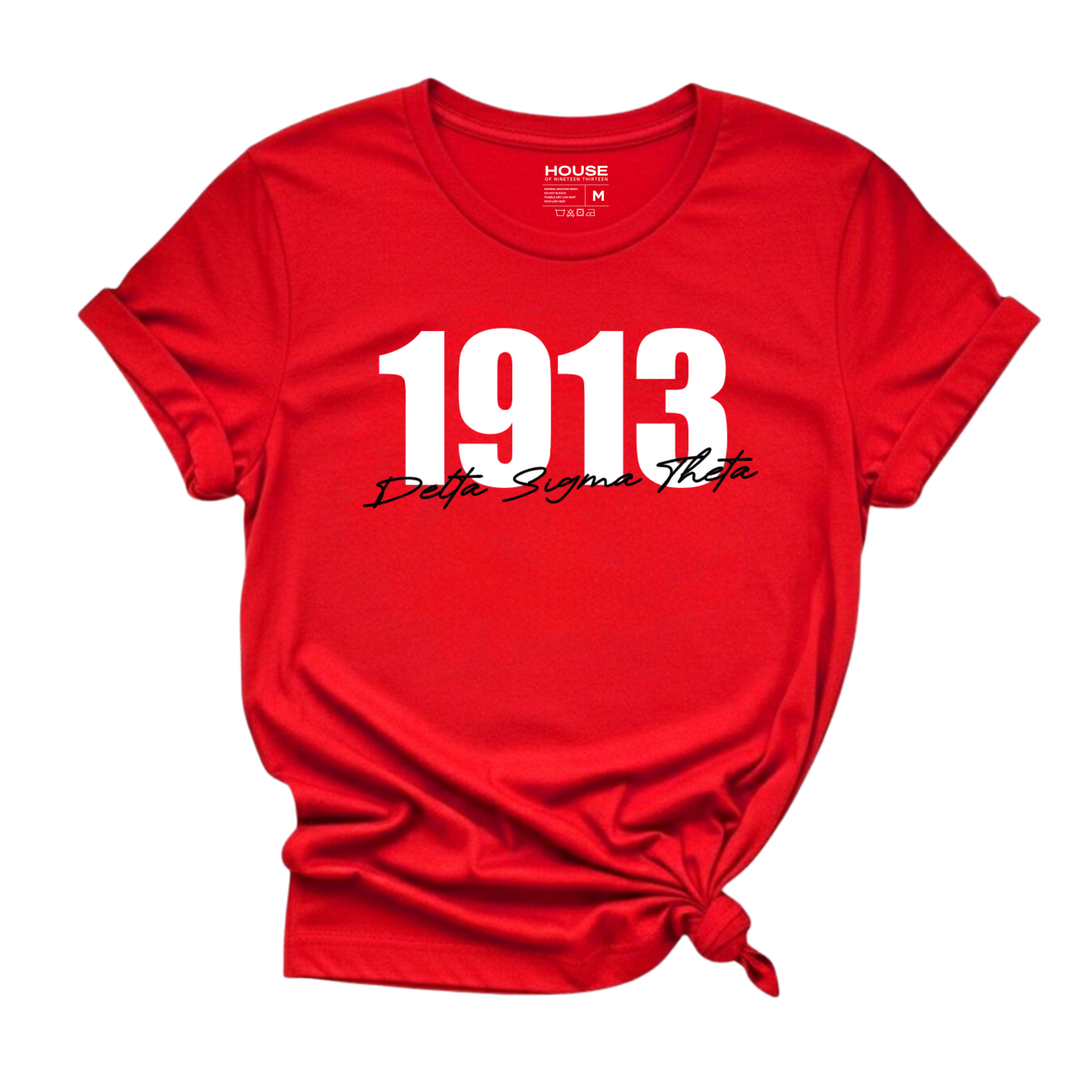 1913 Delta Sigma Theta Graphic Tee